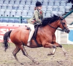 Waxwing Keepsake Waxwing Keepsake